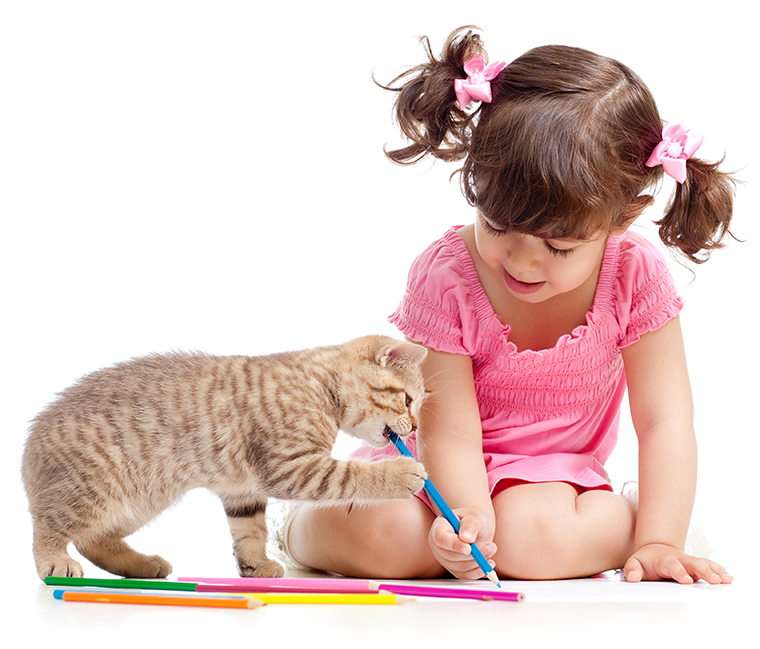 Alternatives to declawing -- Your family